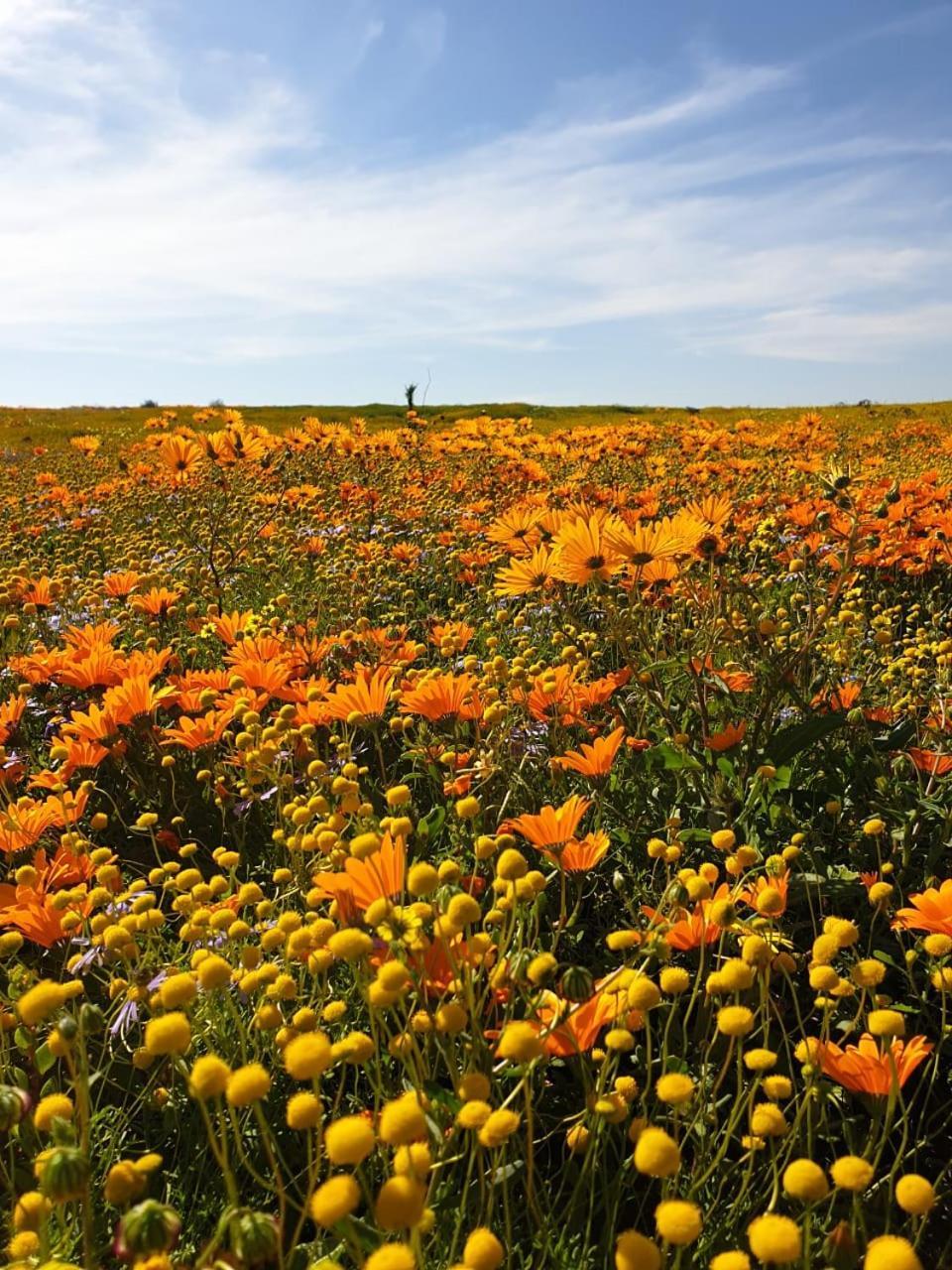 Namaqualand Eco Lodge Soebatsfontein Exteriér fotografie