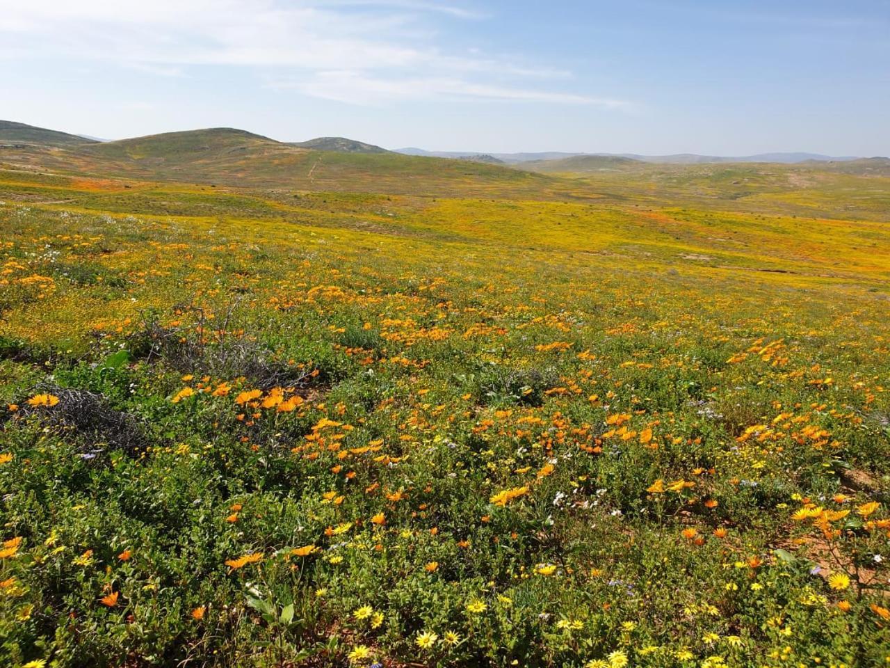 Namaqualand Eco Lodge Soebatsfontein Exteriér fotografie